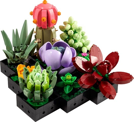 10309 Succulents