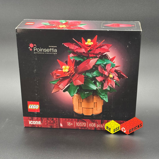 10370 Poinsettia