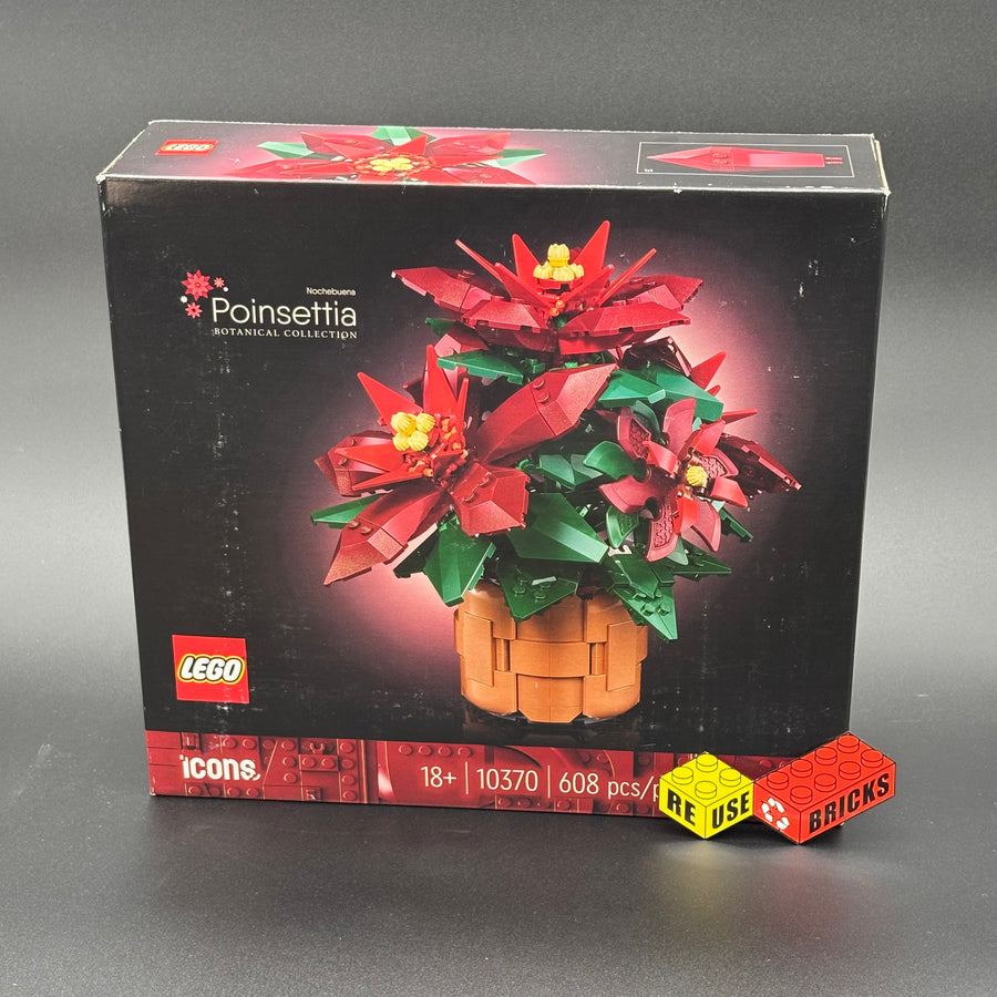 10370 Poinsettia
