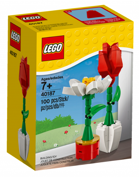 40187 Flower Display