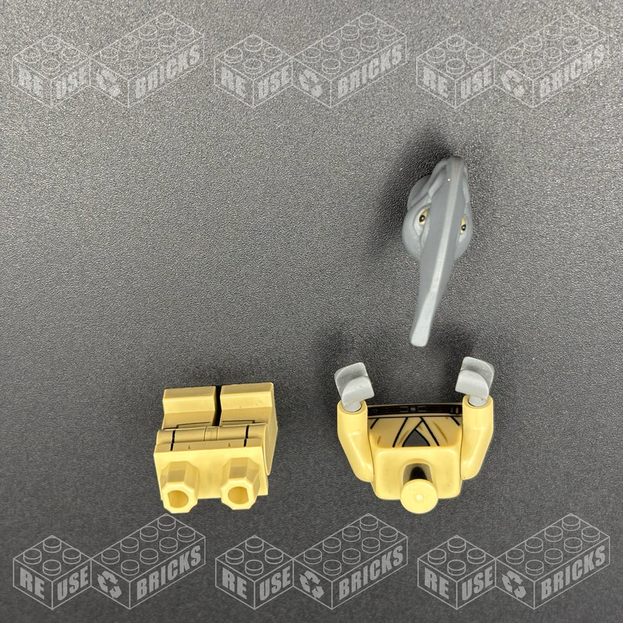 [SW0480] Coleman Trebor