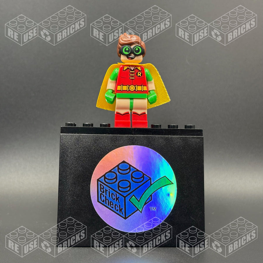 sh0315 Robin - Green Glasses, Smile / Scared Pattern