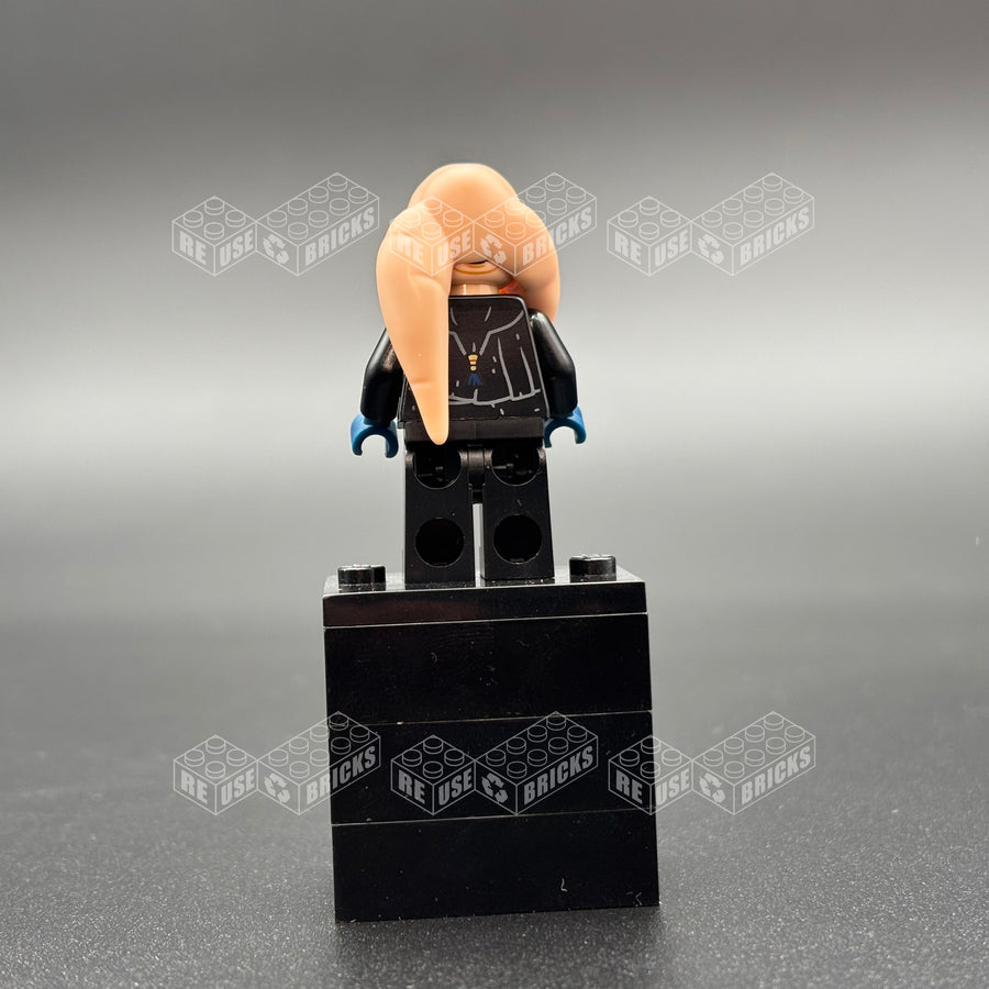 Bib Fortuna