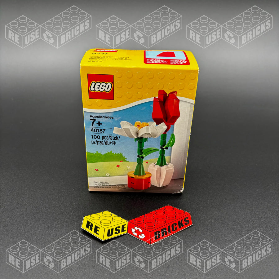 [40187-1] Flower Display