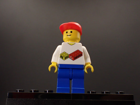 ReUseBricks Classic Fig
