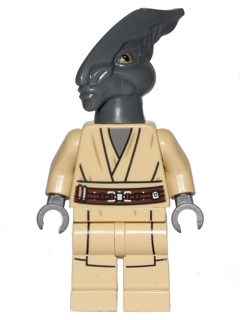 sw0480 Coleman Trebor